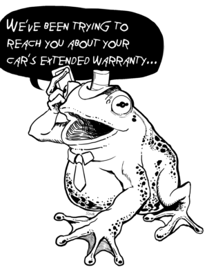 Original Character Insurance Frog